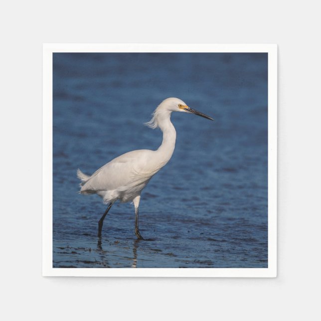 Snowy Egret on North Beach Napkin (Front)