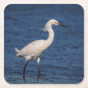 Snowy Egret on North Beach Square Paper Coaster
