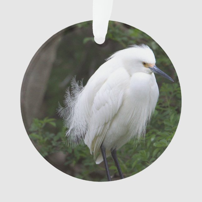 Snowy Egret Ornament (Front)