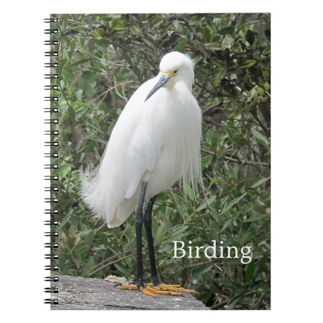 Snowy Egret Spiral Bound Notebook (Front)