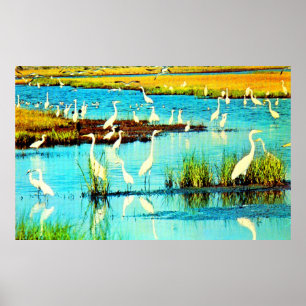 snowy egrets poster