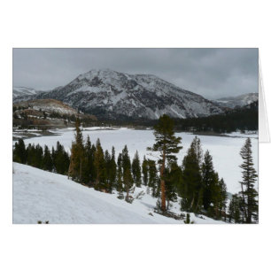 Snowy Ellery Lake California Winter Landscape