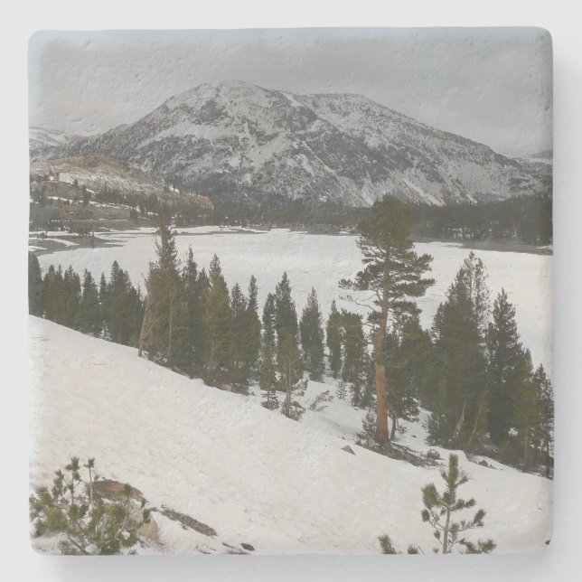 Snowy Ellery Lake California Winter Landscape Stone Coaster (Front)