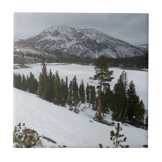 Snowy Ellery Lake California Winter Landscape Tile (Front)