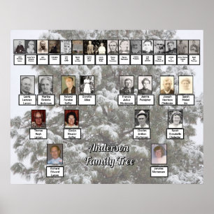 Snowy Evergreen 4 Generation Family Tree Poster