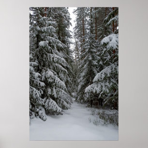 Snowy Evergreen Forest Custom Poster