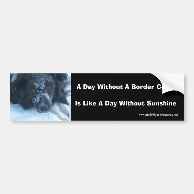 Snowy Face Border Collie Cute Dog Bumper Sticker (Front)
