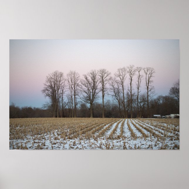 Snowy Field Photo Poster (Front)