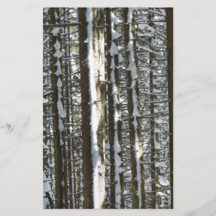 Snowy Fir Tree