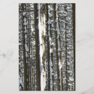 Snowy Fir Tree