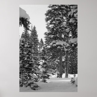 Snowy Forest Black and White Poster