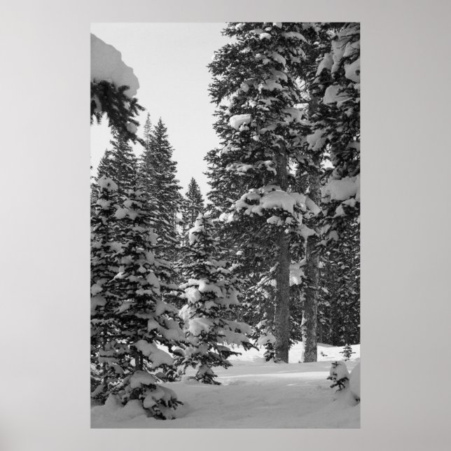 Snowy Forest Black and White Poster (Front)