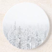 Snowy forest