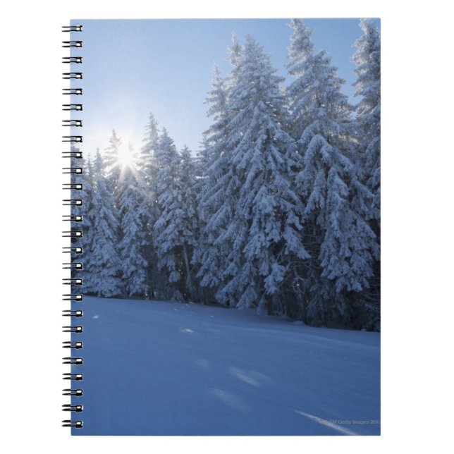 snowy forest in the mountain notebook (Front)