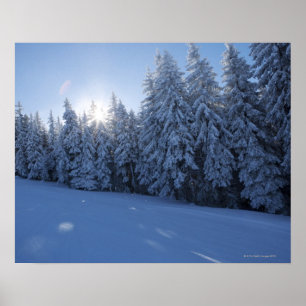 snowy forest in the mountain poster