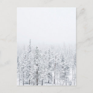 Snowy forest postcard