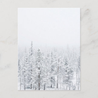 Snowy forest postcard