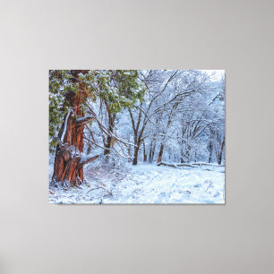 Snowy Forest Scene Canvas Print