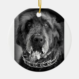 Snowy Labradoodle Ceramic Tree Decoration