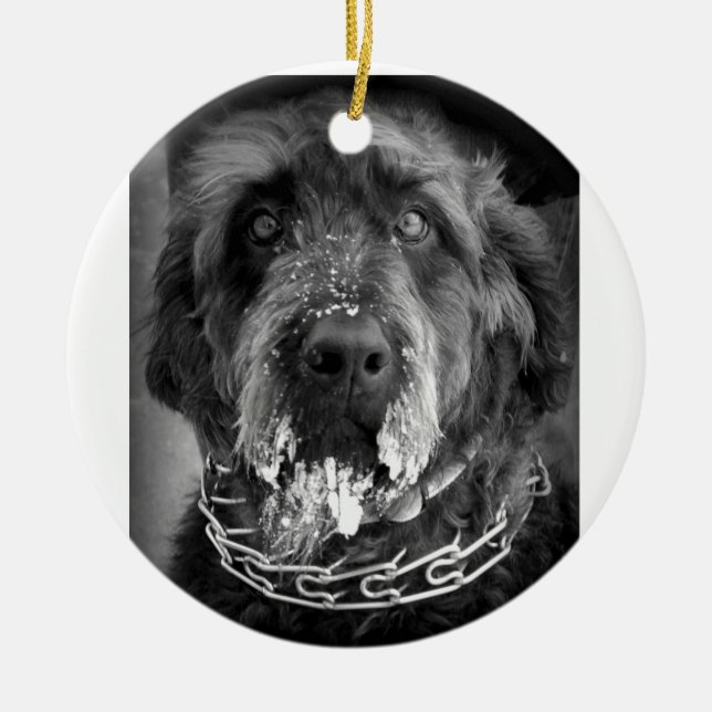 Snowy Labradoodle Ceramic Tree Decoration (Front)