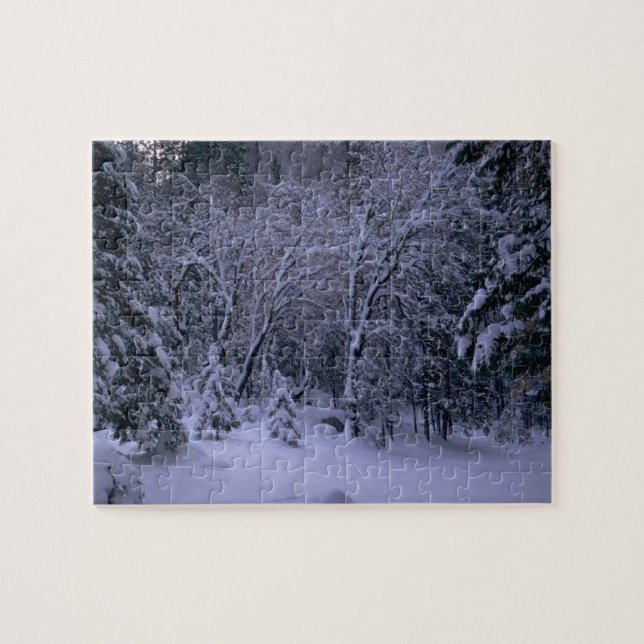 Snowy Landscape Forest Jigsaw Puzzle (Horizontal)