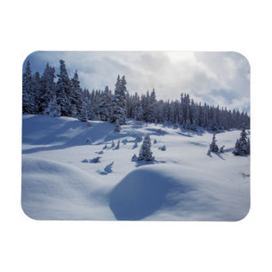 Snowy Landscape Magnet