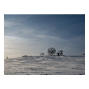 Snowy landscape poster