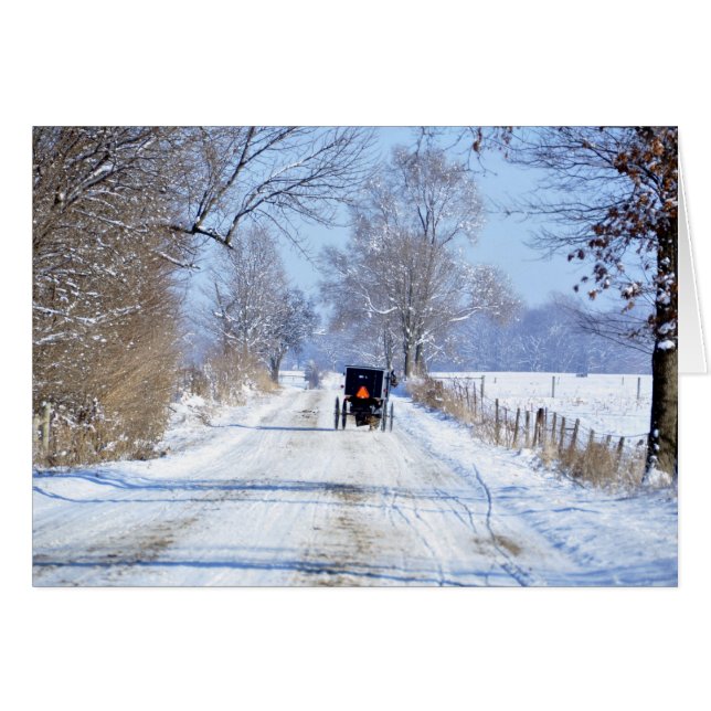 Snowy Lane in Amish Country (Front Horizontal)