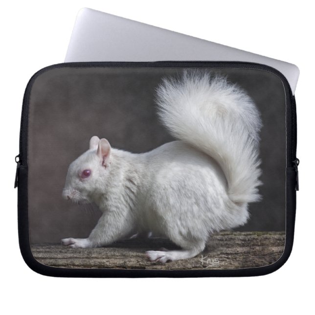Snowy Laptop Sleeve (Front)