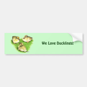 Snowy Mallard Ducklings Bumper Sticker