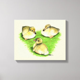 Snowy Mallard Ducklings Canvas Print