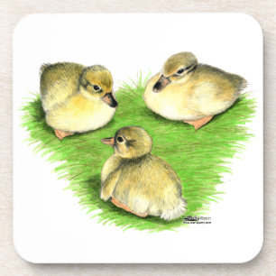 Snowy Mallard Ducklings Coaster