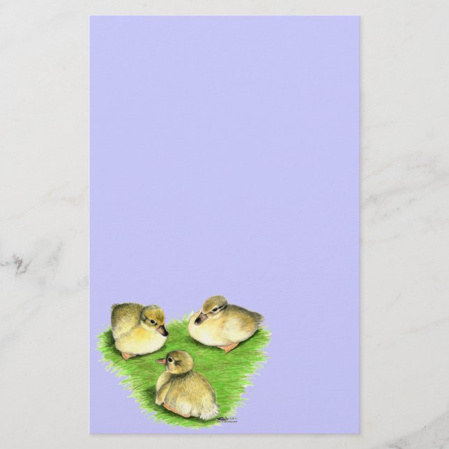 Snowy Mallard Ducklings Stationery (Front)