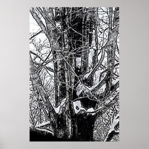 Snowy Maple Poster The MUSEUM Zazzle Gifts