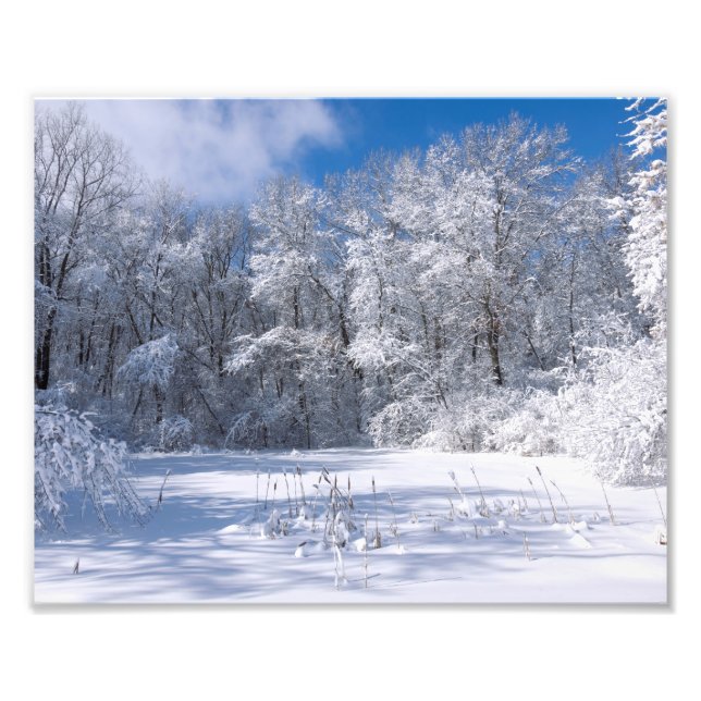 Snowy Marthaler Park and Trees Photo Print (Front)