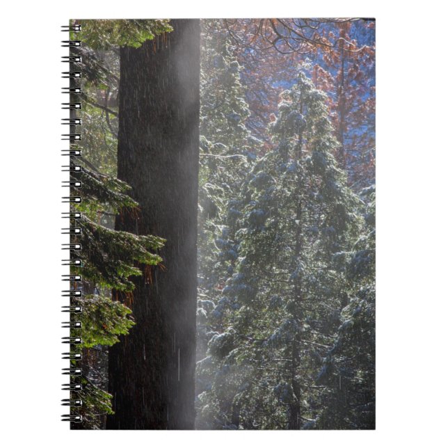 Snowy Mist in the Forest Notebook (Front)