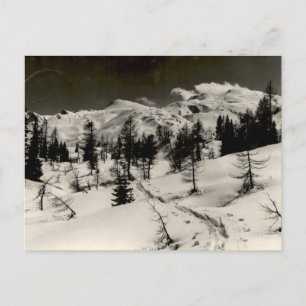 Snowy Mountain Forest Vintage Monochrome View Postcard
