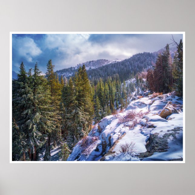 Snowy Mountain Forest Wall Art | Winter Sierra (Front)