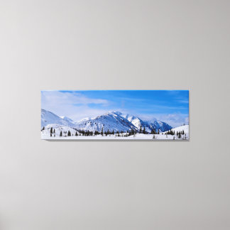 Snowy mountains in Alaska  Canvas Print