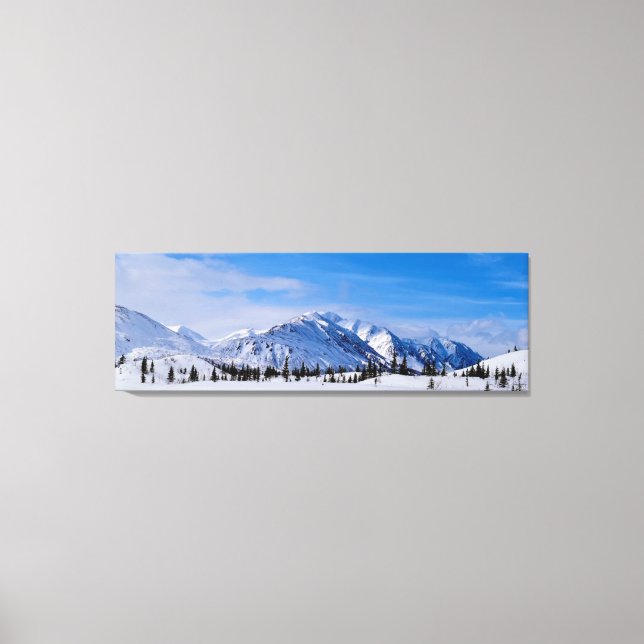 Snowy mountains in Alaska  Canvas Print (Front)