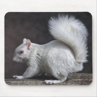 Snowy Mousemat