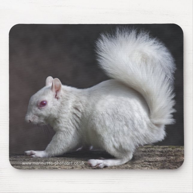 Snowy Mousemat (Front)