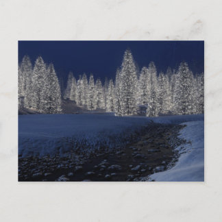Snowy Night Postcard