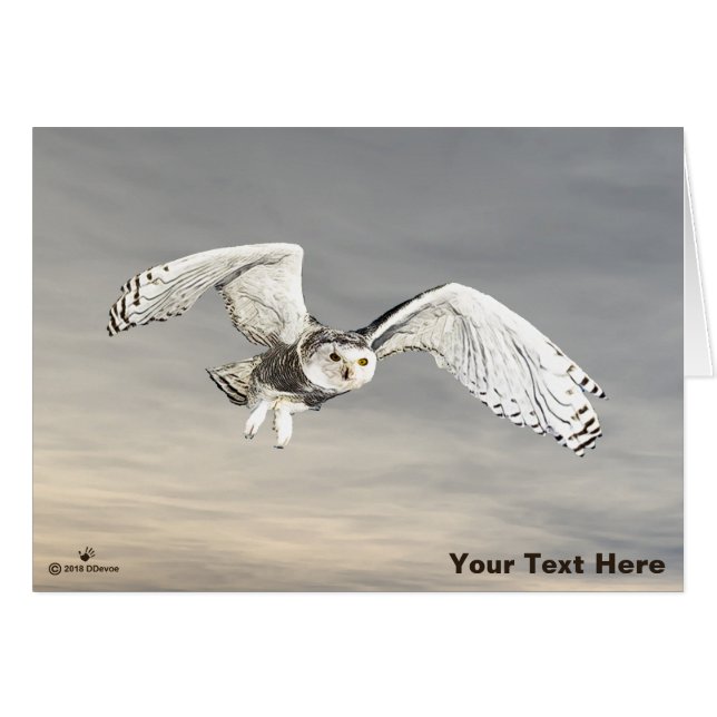 Snowy Owl (Front Horizontal)