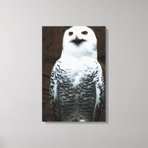 Snowy Owl 16x24 (40x60cm) waccn Canvas Print