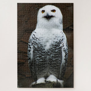 Snowy Owl 20x30 1014pc jpcn Jigsaw Puzzle