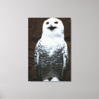 Snowy Owl 24x36 (60x90cm) waccnm