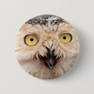 Snowy Owl 6 Cm Round Badge