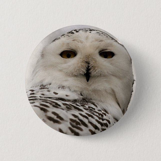 snowy owl 6 cm round badge (Front)