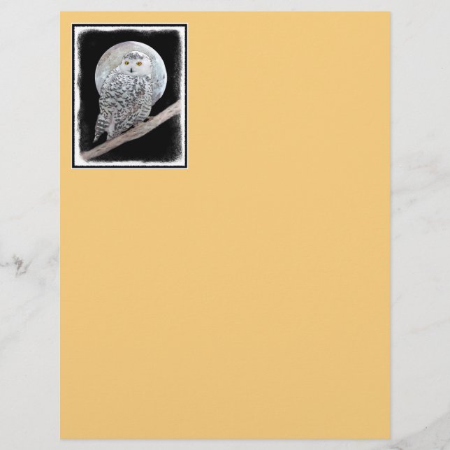 Snowy Owl and Moon Painting - Original Bird Art (Front)